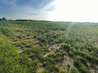 Property photo 30 - REAL ESTATE AUCTION - 55.5+/- ACRES, 2 LOCATIONS OFFERED IN 5 TRACTS IN ALLEN COUNTY, INDIANA