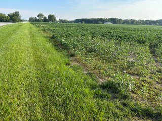 Property photo 32 - REAL ESTATE AUCTION - 55.5+/- ACRES, 2 LOCATIONS OFFERED IN 5 TRACTS IN ALLEN COUNTY, INDIANA