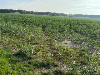 Property photo 33 - REAL ESTATE AUCTION - 55.5+/- ACRES, 2 LOCATIONS OFFERED IN 5 TRACTS IN ALLEN COUNTY, INDIANA