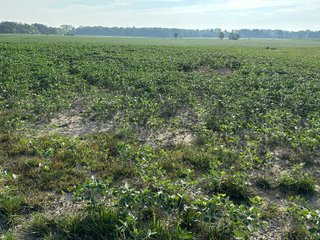 Property photo 34 - REAL ESTATE AUCTION - 55.5+/- ACRES, 2 LOCATIONS OFFERED IN 5 TRACTS IN ALLEN COUNTY, INDIANA