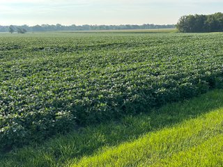 Property photo 35 - REAL ESTATE AUCTION - 55.5+/- ACRES, 2 LOCATIONS OFFERED IN 5 TRACTS IN ALLEN COUNTY, INDIANA