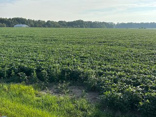 Property photo 37 - REAL ESTATE AUCTION - 55.5+/- ACRES, 2 LOCATIONS OFFERED IN 5 TRACTS IN ALLEN COUNTY, INDIANA