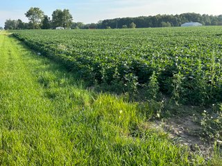 Property photo 38 - REAL ESTATE AUCTION - 55.5+/- ACRES, 2 LOCATIONS OFFERED IN 5 TRACTS IN ALLEN COUNTY, INDIANA