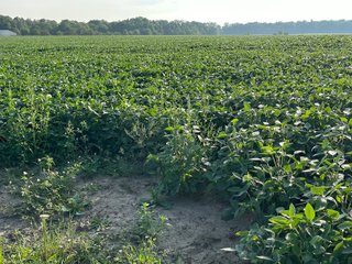 Property photo 39 - REAL ESTATE AUCTION - 55.5+/- ACRES, 2 LOCATIONS OFFERED IN 5 TRACTS IN ALLEN COUNTY, INDIANA