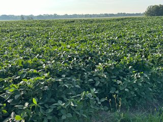 Property photo 41 - REAL ESTATE AUCTION - 55.5+/- ACRES, 2 LOCATIONS OFFERED IN 5 TRACTS IN ALLEN COUNTY, INDIANA