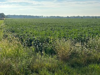 Property photo 42 - REAL ESTATE AUCTION - 55.5+/- ACRES, 2 LOCATIONS OFFERED IN 5 TRACTS IN ALLEN COUNTY, INDIANA