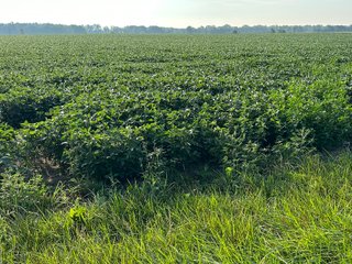 Property photo 43 - REAL ESTATE AUCTION - 55.5+/- ACRES, 2 LOCATIONS OFFERED IN 5 TRACTS IN ALLEN COUNTY, INDIANA
