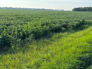 Property photo 44 - REAL ESTATE AUCTION - 55.5+/- ACRES, 2 LOCATIONS OFFERED IN 5 TRACTS IN ALLEN COUNTY, INDIANA