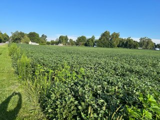Property photo 48 - REAL ESTATE AUCTION - 55.5+/- ACRES, 2 LOCATIONS OFFERED IN 5 TRACTS IN ALLEN COUNTY, INDIANA