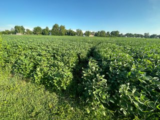 Property photo 49 - REAL ESTATE AUCTION - 55.5+/- ACRES, 2 LOCATIONS OFFERED IN 5 TRACTS IN ALLEN COUNTY, INDIANA