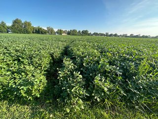 Property photo 50 - REAL ESTATE AUCTION - 55.5+/- ACRES, 2 LOCATIONS OFFERED IN 5 TRACTS IN ALLEN COUNTY, INDIANA