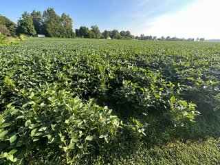 Property photo 51 - REAL ESTATE AUCTION - 55.5+/- ACRES, 2 LOCATIONS OFFERED IN 5 TRACTS IN ALLEN COUNTY, INDIANA