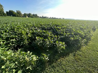 Property photo 52 - REAL ESTATE AUCTION - 55.5+/- ACRES, 2 LOCATIONS OFFERED IN 5 TRACTS IN ALLEN COUNTY, INDIANA