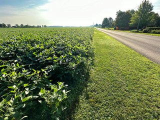Property photo 53 - REAL ESTATE AUCTION - 55.5+/- ACRES, 2 LOCATIONS OFFERED IN 5 TRACTS IN ALLEN COUNTY, INDIANA