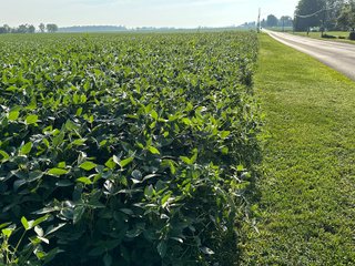 Property photo 54 - REAL ESTATE AUCTION - 55.5+/- ACRES, 2 LOCATIONS OFFERED IN 5 TRACTS IN ALLEN COUNTY, INDIANA