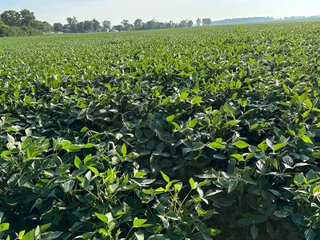 Property photo 55 - REAL ESTATE AUCTION - 55.5+/- ACRES, 2 LOCATIONS OFFERED IN 5 TRACTS IN ALLEN COUNTY, INDIANA