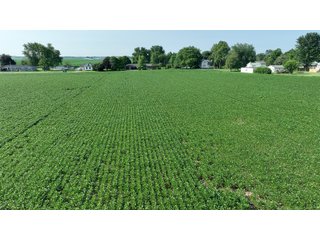 Property photo 11 - REAL ESTATE AUCTION - 55.5+/- ACRES, 2 LOCATIONS OFFERED IN 5 TRACTS IN ALLEN COUNTY, INDIANA