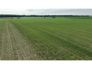Property photo 6 - REAL ESTATE AUCTION - 55.5+/- ACRES, 2 LOCATIONS OFFERED IN 5 TRACTS IN ALLEN COUNTY, INDIANA
