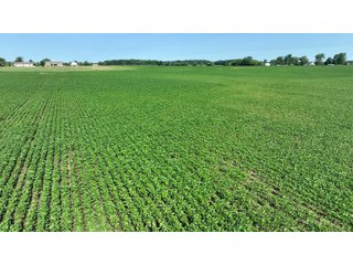 Property photo 8 - REAL ESTATE AUCTION - 55.5+/- ACRES, 2 LOCATIONS OFFERED IN 5 TRACTS IN ALLEN COUNTY, INDIANA