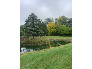 Property photo 38 - REAL ESTATE AUCTION - 6+/- ACRES OFFERED IN 3 TRACTS IN ALLEN COUNTY, INDIANA