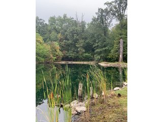 Property photo 26 - REAL ESTATE AUCTION - 6+/- ACRES OFFERED IN 3 TRACTS IN ALLEN COUNTY, INDIANA