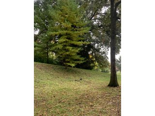 Property photo 10 - REAL ESTATE AUCTION - 6+/- ACRES OFFERED IN 3 TRACTS IN ALLEN COUNTY, INDIANA