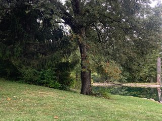 Property photo 13 - REAL ESTATE AUCTION - 6+/- ACRES OFFERED IN 3 TRACTS IN ALLEN COUNTY, INDIANA