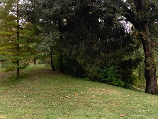Property photo 14 - REAL ESTATE AUCTION - 6+/- ACRES OFFERED IN 3 TRACTS IN ALLEN COUNTY, INDIANA