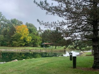 Property photo 15 - REAL ESTATE AUCTION - 6+/- ACRES OFFERED IN 3 TRACTS IN ALLEN COUNTY, INDIANA