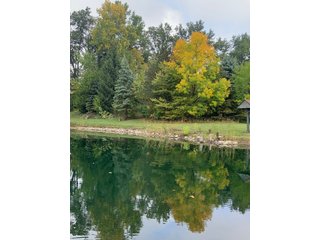 Property photo 22 - REAL ESTATE AUCTION - 6+/- ACRES OFFERED IN 3 TRACTS IN ALLEN COUNTY, INDIANA