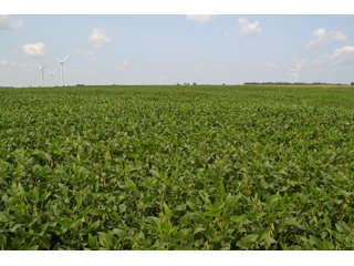 Property photo 76 - LAND AUCTION - 1103.8+/- ACRES OFFERED IN 14 TRACTS OR ANY COMBINATION IN KANKAKEE, FORD, & IROQUOIS COUNTIES, ILLINOIS (TRACTS RANGING FROM 40-167.9+/- ACRES)