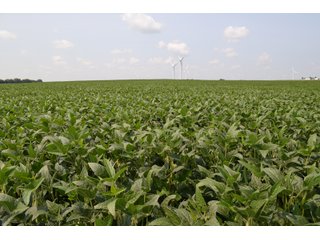 Property photo 77 - LAND AUCTION - 1103.8+/- ACRES OFFERED IN 14 TRACTS OR ANY COMBINATION IN KANKAKEE, FORD, & IROQUOIS COUNTIES, ILLINOIS (TRACTS RANGING FROM 40-167.9+/- ACRES)