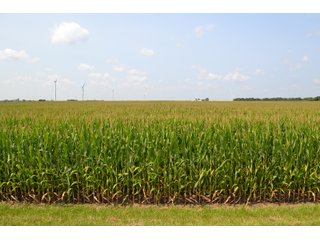 Property photo 80 - LAND AUCTION - 1103.8+/- ACRES OFFERED IN 14 TRACTS OR ANY COMBINATION IN KANKAKEE, FORD, & IROQUOIS COUNTIES, ILLINOIS (TRACTS RANGING FROM 40-167.9+/- ACRES)
