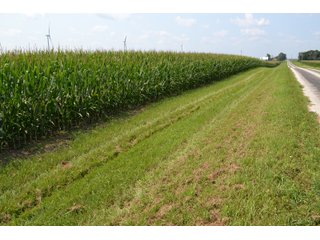 Property photo 81 - LAND AUCTION - 1103.8+/- ACRES OFFERED IN 14 TRACTS OR ANY COMBINATION IN KANKAKEE, FORD, & IROQUOIS COUNTIES, ILLINOIS (TRACTS RANGING FROM 40-167.9+/- ACRES)