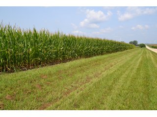 Property photo 86 - LAND AUCTION - 1103.8+/- ACRES OFFERED IN 14 TRACTS OR ANY COMBINATION IN KANKAKEE, FORD, & IROQUOIS COUNTIES, ILLINOIS (TRACTS RANGING FROM 40-167.9+/- ACRES)