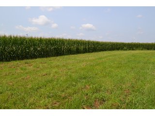 Property photo 88 - LAND AUCTION - 1103.8+/- ACRES OFFERED IN 14 TRACTS OR ANY COMBINATION IN KANKAKEE, FORD, & IROQUOIS COUNTIES, ILLINOIS (TRACTS RANGING FROM 40-167.9+/- ACRES)