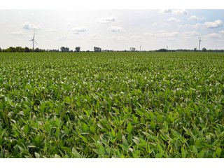 Property photo 91 - LAND AUCTION - 1103.8+/- ACRES OFFERED IN 14 TRACTS OR ANY COMBINATION IN KANKAKEE, FORD, & IROQUOIS COUNTIES, ILLINOIS (TRACTS RANGING FROM 40-167.9+/- ACRES)