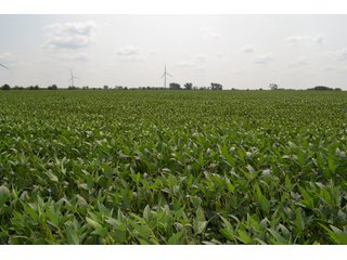 Property photo 92 - LAND AUCTION - 1103.8+/- ACRES OFFERED IN 14 TRACTS OR ANY COMBINATION IN KANKAKEE, FORD, & IROQUOIS COUNTIES, ILLINOIS (TRACTS RANGING FROM 40-167.9+/- ACRES)