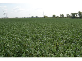 Property photo 97 - LAND AUCTION - 1103.8+/- ACRES OFFERED IN 14 TRACTS OR ANY COMBINATION IN KANKAKEE, FORD, & IROQUOIS COUNTIES, ILLINOIS (TRACTS RANGING FROM 40-167.9+/- ACRES)