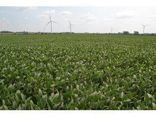 Property photo 99 - LAND AUCTION - 1103.8+/- ACRES OFFERED IN 14 TRACTS OR ANY COMBINATION IN KANKAKEE, FORD, & IROQUOIS COUNTIES, ILLINOIS (TRACTS RANGING FROM 40-167.9+/- ACRES)