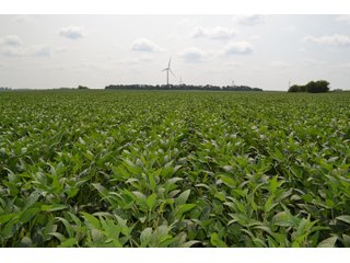 Property photo 102 - LAND AUCTION - 1103.8+/- ACRES OFFERED IN 14 TRACTS OR ANY COMBINATION IN KANKAKEE, FORD, & IROQUOIS COUNTIES, ILLINOIS (TRACTS RANGING FROM 40-167.9+/- ACRES)