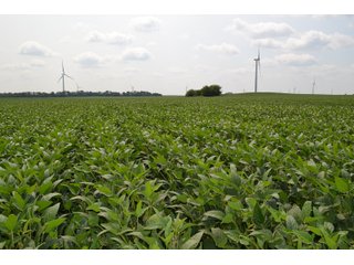 Property photo 103 - LAND AUCTION - 1103.8+/- ACRES OFFERED IN 14 TRACTS OR ANY COMBINATION IN KANKAKEE, FORD, & IROQUOIS COUNTIES, ILLINOIS (TRACTS RANGING FROM 40-167.9+/- ACRES)