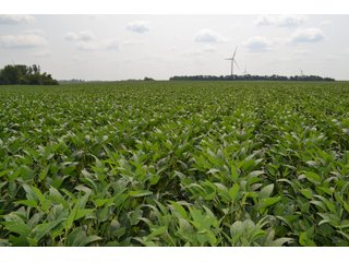 Property photo 104 - LAND AUCTION - 1103.8+/- ACRES OFFERED IN 14 TRACTS OR ANY COMBINATION IN KANKAKEE, FORD, & IROQUOIS COUNTIES, ILLINOIS (TRACTS RANGING FROM 40-167.9+/- ACRES)