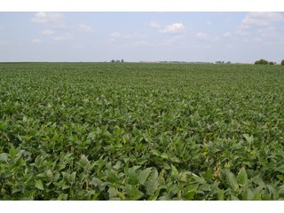Property photo 26 - LAND AUCTION - 1103.8+/- ACRES OFFERED IN 14 TRACTS OR ANY COMBINATION IN KANKAKEE, FORD, & IROQUOIS COUNTIES, ILLINOIS (TRACTS RANGING FROM 40-167.9+/- ACRES)