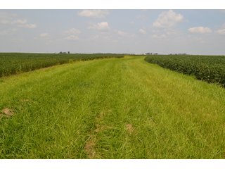 Property photo 29 - LAND AUCTION - 1103.8+/- ACRES OFFERED IN 14 TRACTS OR ANY COMBINATION IN KANKAKEE, FORD, & IROQUOIS COUNTIES, ILLINOIS (TRACTS RANGING FROM 40-167.9+/- ACRES)