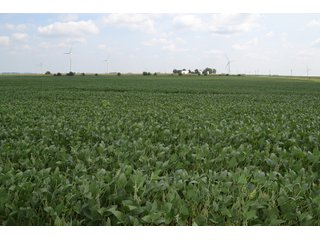 Property photo 30 - LAND AUCTION - 1103.8+/- ACRES OFFERED IN 14 TRACTS OR ANY COMBINATION IN KANKAKEE, FORD, & IROQUOIS COUNTIES, ILLINOIS (TRACTS RANGING FROM 40-167.9+/- ACRES)