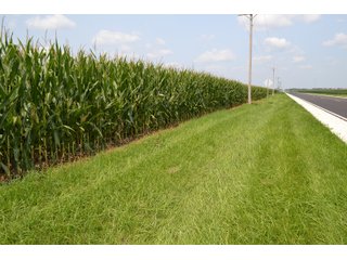 Property photo 7 - LAND AUCTION - 1103.8+/- ACRES OFFERED IN 14 TRACTS OR ANY COMBINATION IN KANKAKEE, FORD, & IROQUOIS COUNTIES, ILLINOIS (TRACTS RANGING FROM 40-167.9+/- ACRES)
