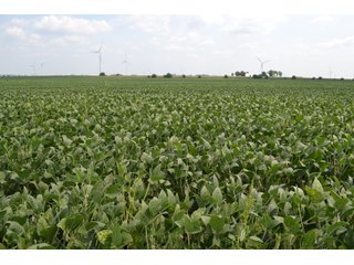 Property photo 31 - LAND AUCTION - 1103.8+/- ACRES OFFERED IN 14 TRACTS OR ANY COMBINATION IN KANKAKEE, FORD, & IROQUOIS COUNTIES, ILLINOIS (TRACTS RANGING FROM 40-167.9+/- ACRES)
