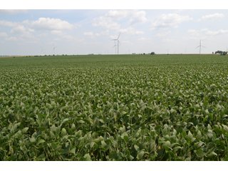 Property photo 18 - LAND AUCTION - 1103.8+/- ACRES OFFERED IN 14 TRACTS OR ANY COMBINATION IN KANKAKEE, FORD, & IROQUOIS COUNTIES, ILLINOIS (TRACTS RANGING FROM 40-167.9+/- ACRES)