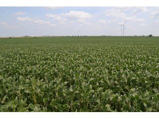 Property photo 19 - LAND AUCTION - 1103.8+/- ACRES OFFERED IN 14 TRACTS OR ANY COMBINATION IN KANKAKEE, FORD, & IROQUOIS COUNTIES, ILLINOIS (TRACTS RANGING FROM 40-167.9+/- ACRES)